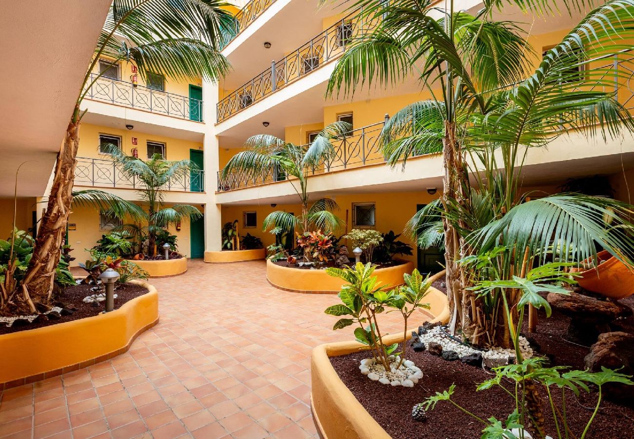 Apartamento en Los Cristianos - Apartamento Tropical ubicación inmejorable