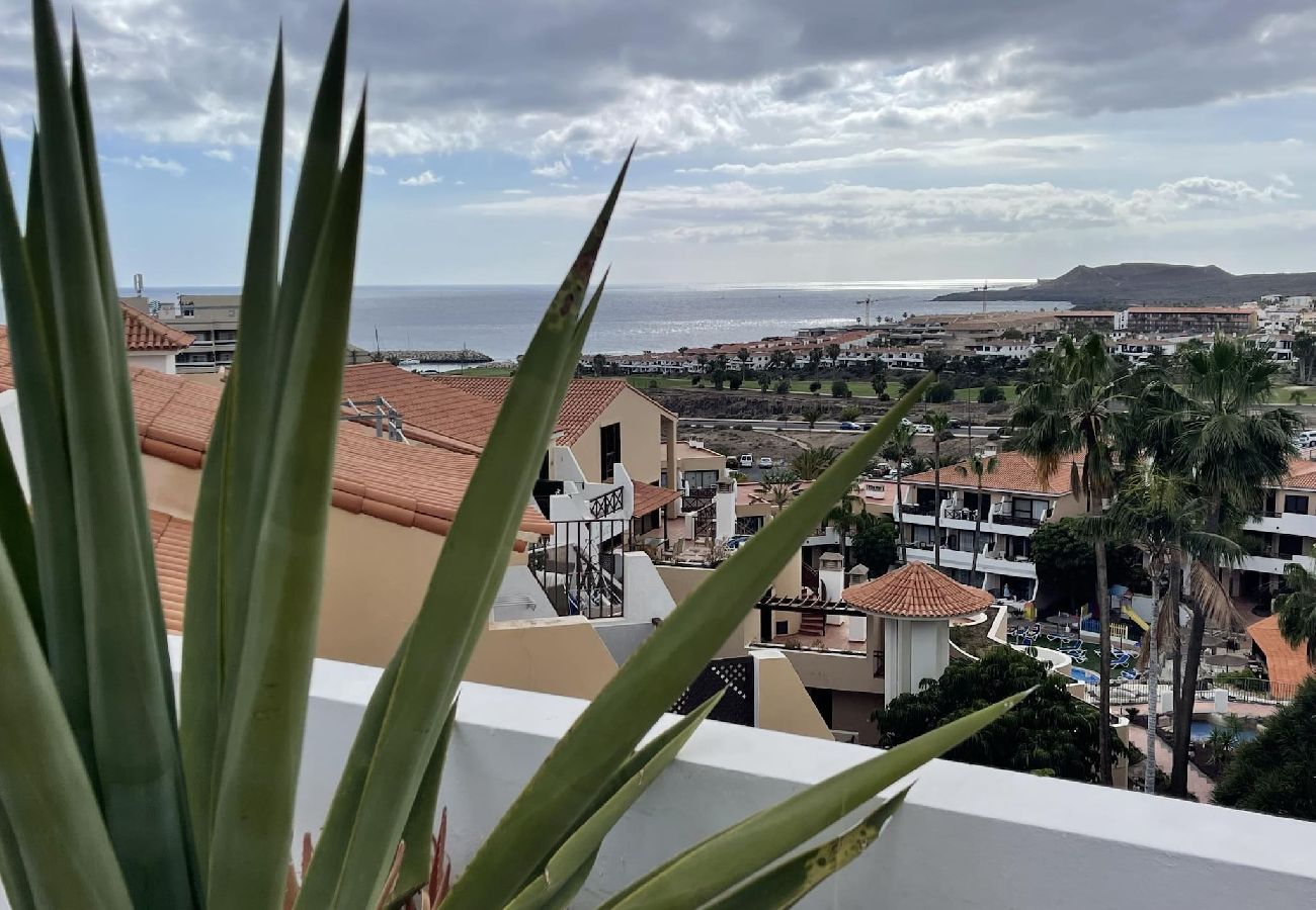 Apartamento en San Miguel de Abona - Oasis Attico estudio con terraza y piscina 