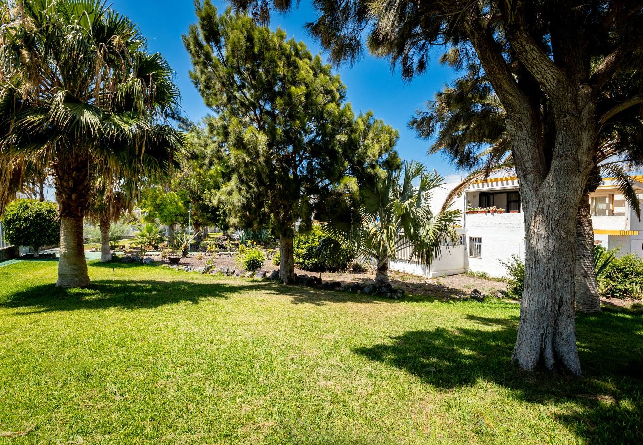 Apartamento en Costa del Silencio - Casa Drago